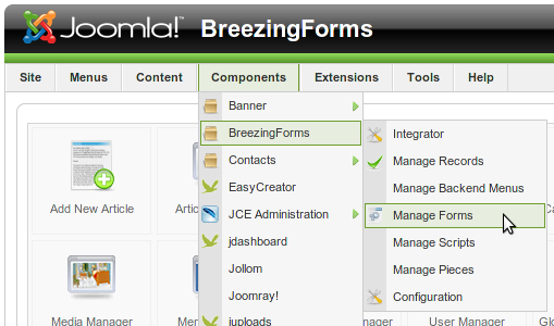 Joomla breezingforms link